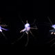 Imagen para el artículo titulado Por qué aún no existe un cañón láser para aniquilar mosquitos en pleno vuelo